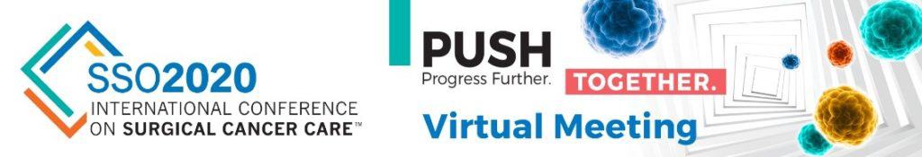 SSO 2020 Virtual Meeting banner