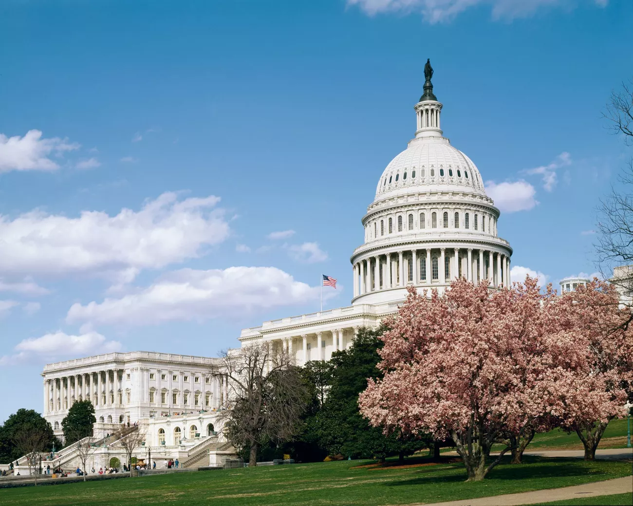 United States Capitol in Washington, DC